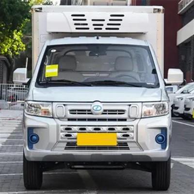 Ruichi EC71L Small Freezer Truck